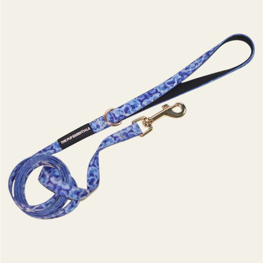 Leashes