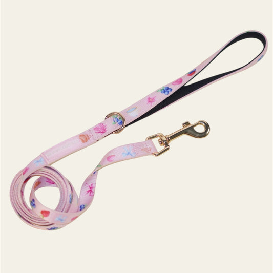 Leashes